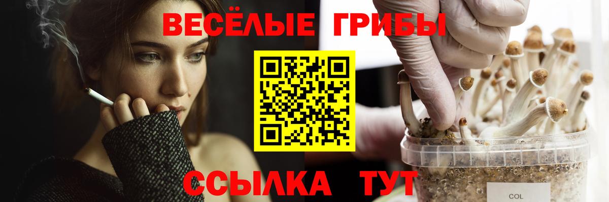 Псилоцибиновые грибы ЛСД Симферополь